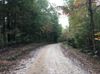 0 Tame Turkey Road photo